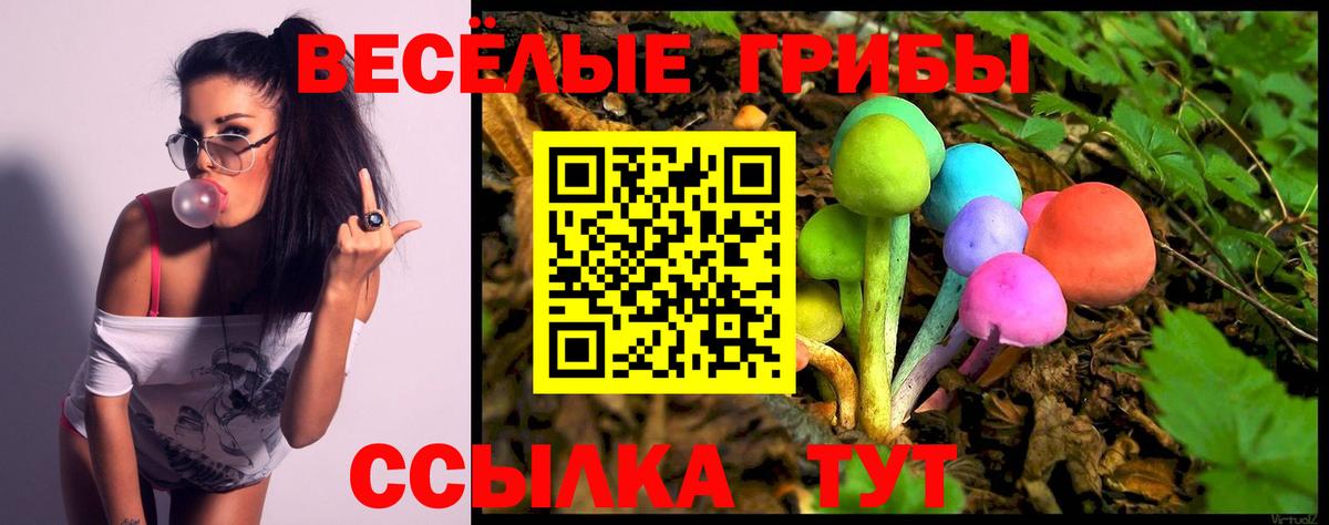Елабуга  Галлюциногенные грибы прущие грибы  Вход с VPN 